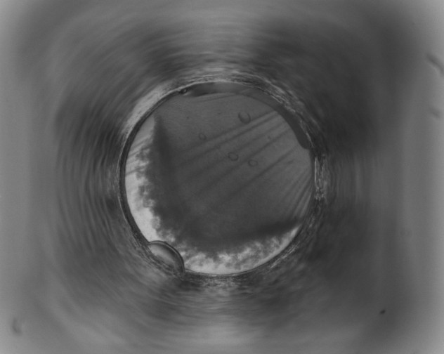 X0000101970099200808081600