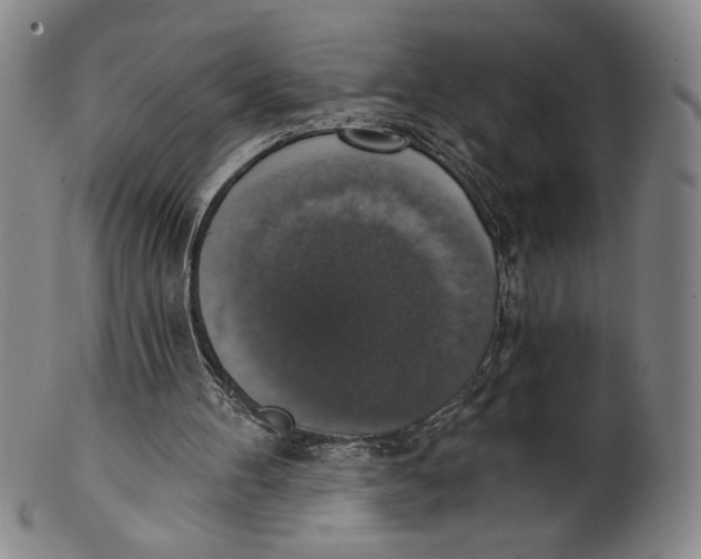 X0000101970100200808081600