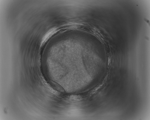 X0000101970101200808081600