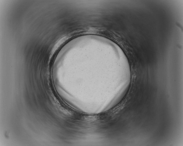 X0000101970102200808081600