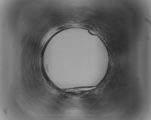 X0000101970103200808081600