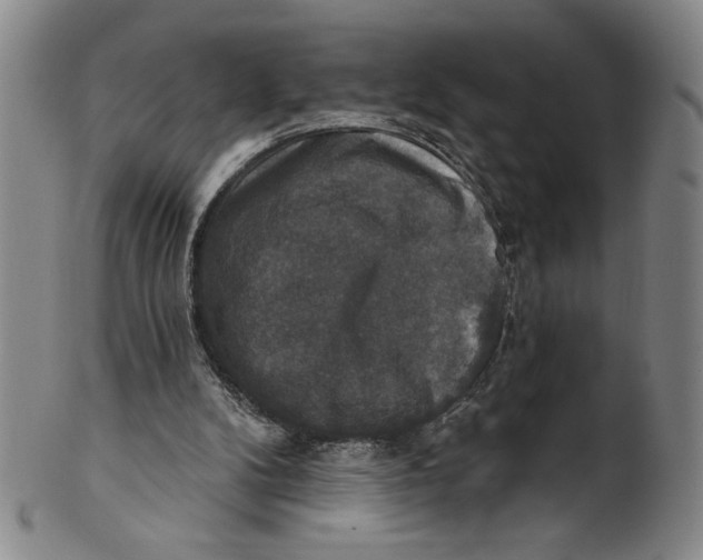 X0000101970104200808081600