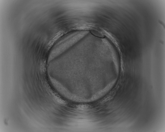 X0000101970105200808081600