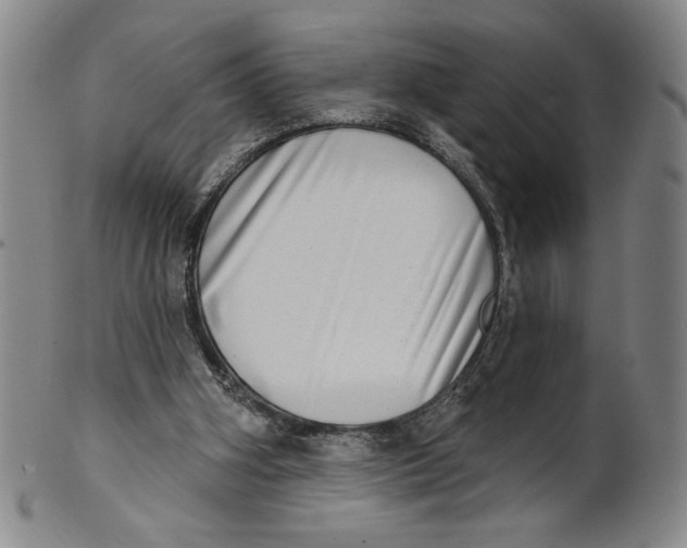 X0000101970106200808081600