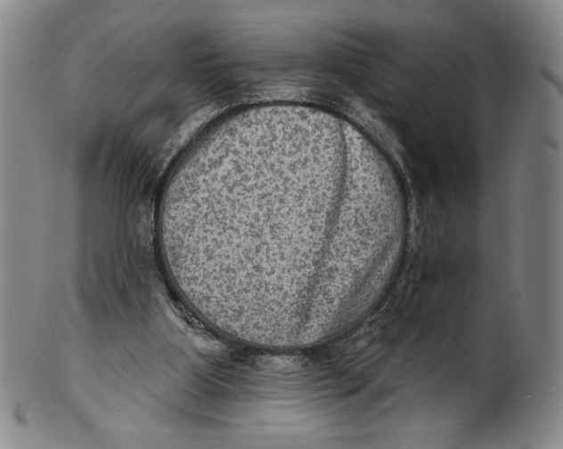 X0000101970107200808081600