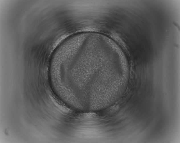 X0000101970108200808081600
