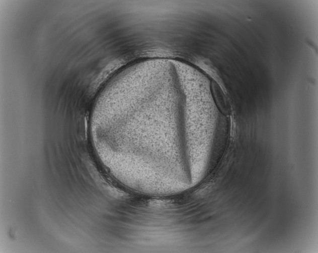 X0000101970109200808081600