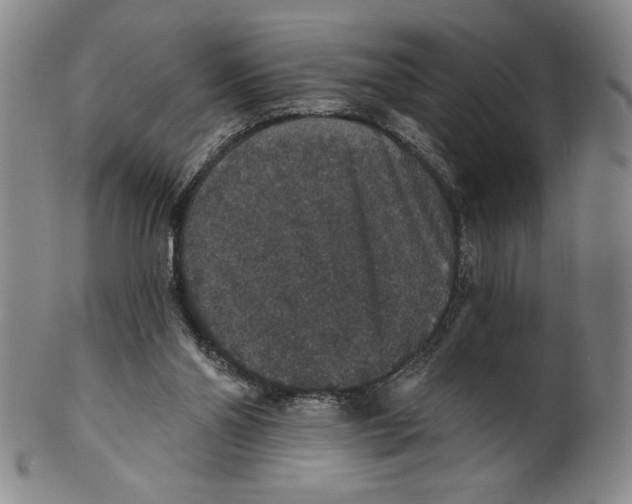 X0000101970110200808081600