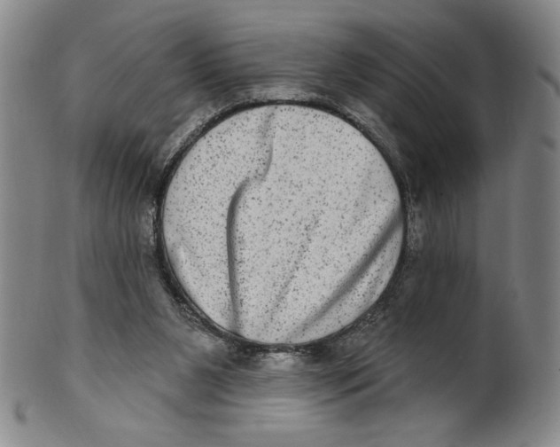X0000101970111200808081600