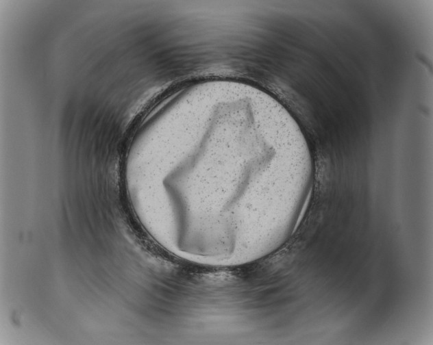 X0000101970112200808081600