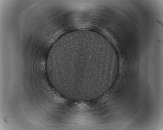 X0000101970113200808081600