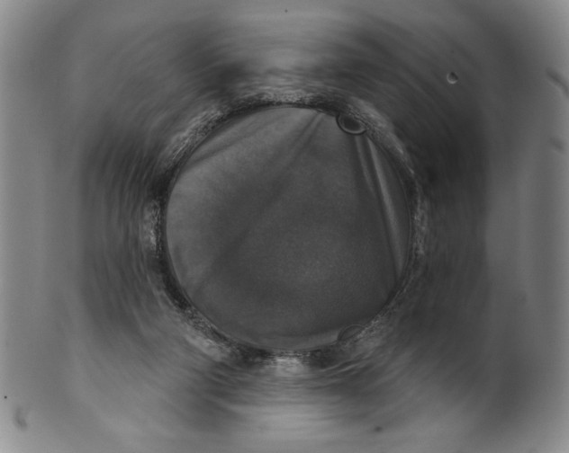 X0000101970114200808081600