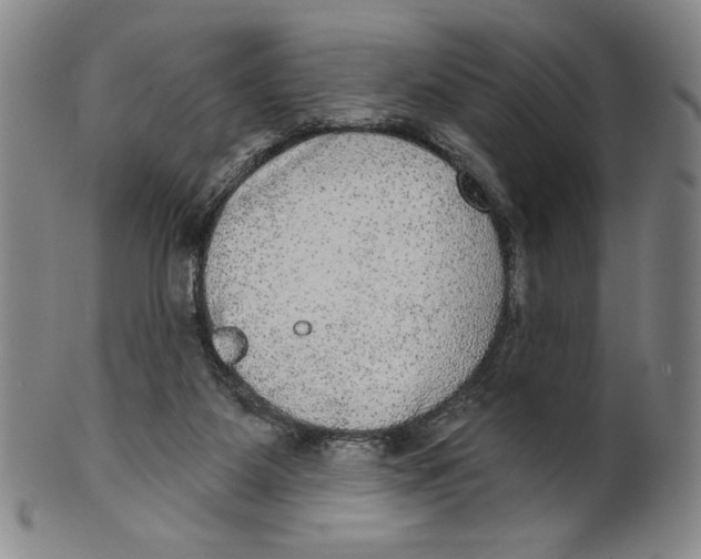 X0000101970115200808081600