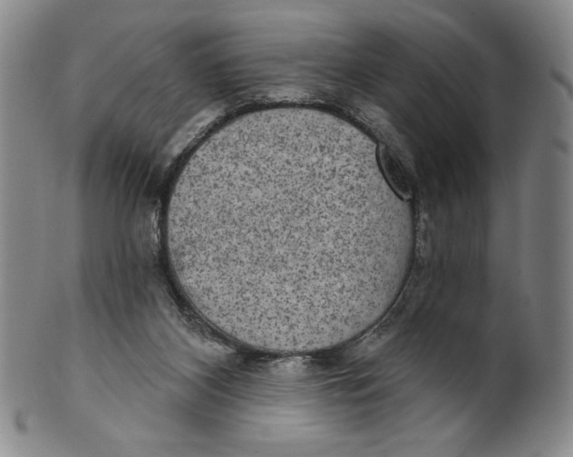 X0000101970116200808081559