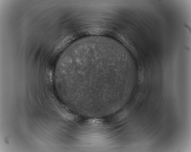 X0000101970117200808081559