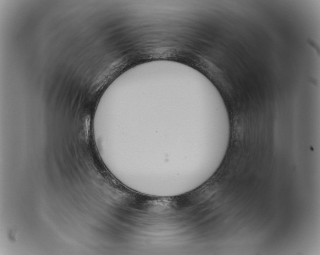 X0000101970118200808081559
