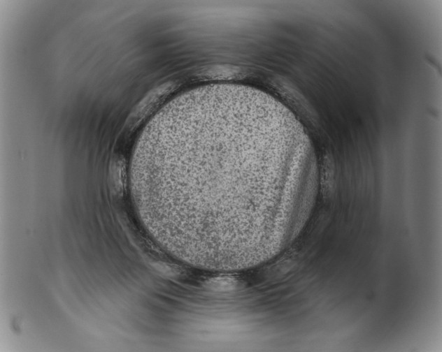 X0000101970119200808081559