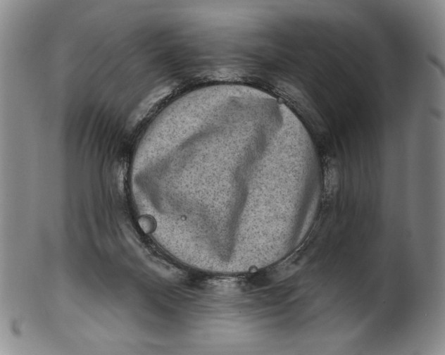 X0000101970120200808081559