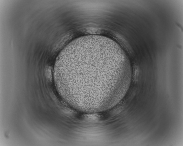 X0000101970121200808081559