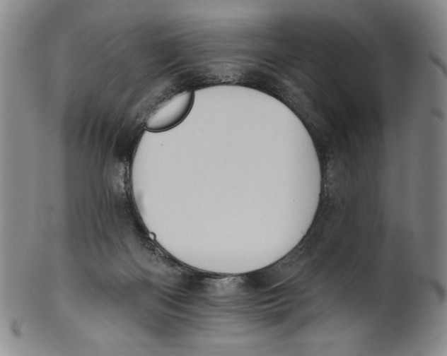 X0000101970122200808081559