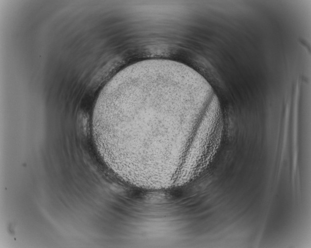 X0000101970123200808081559