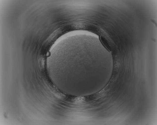 X0000101970124200808081559