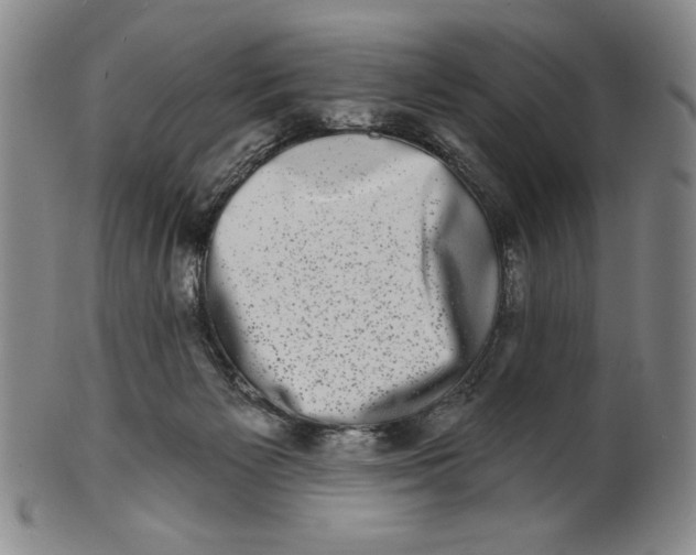 X0000101970125200808081559