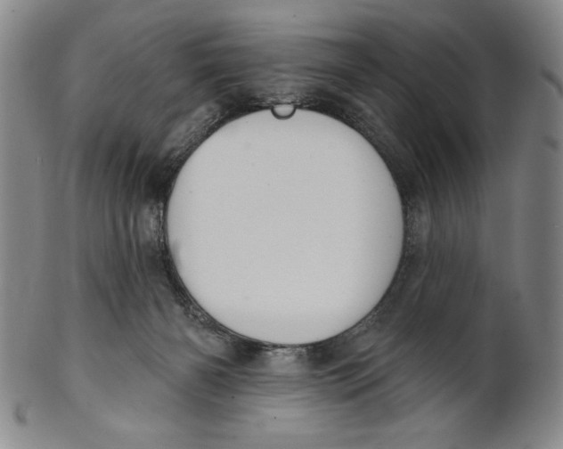 X0000101970126200808081559