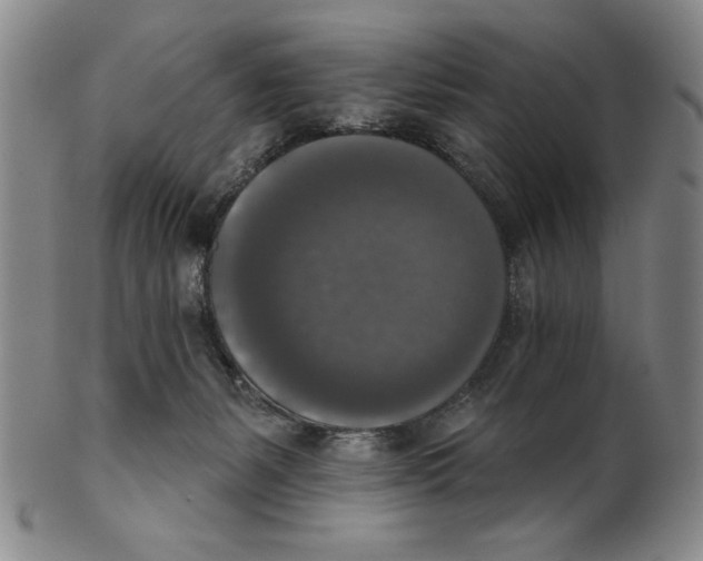 X0000101970127200808081559