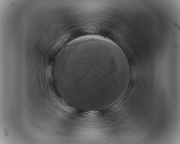 X0000101970128200808081559