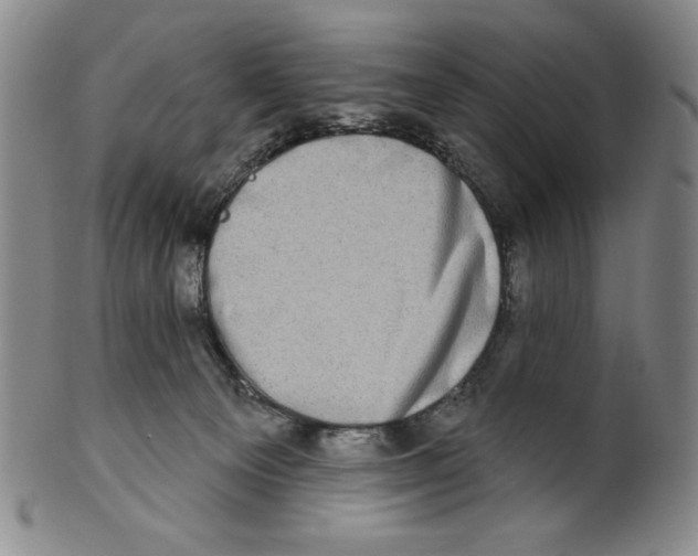 X0000101970129200808081559