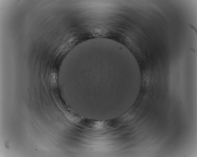 X0000101970130200808081559
