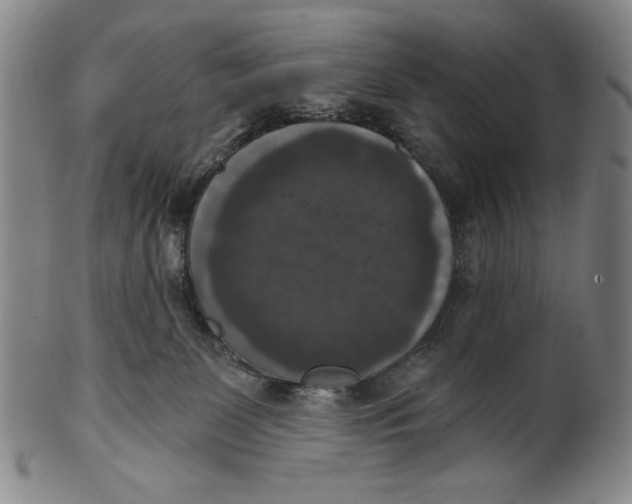 X0000101970131200808081559