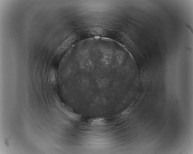 X0000101970132200808081559