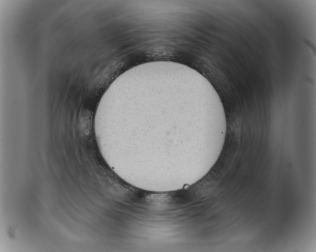 X0000101970133200808081559