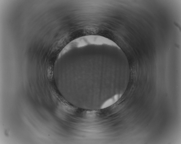 X0000101970134200808081559