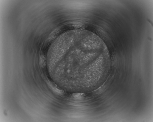 X0000101970136200808081559