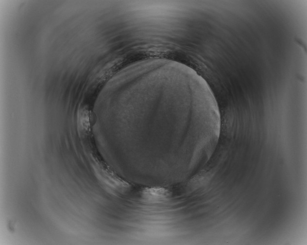 X0000101970137200808081559