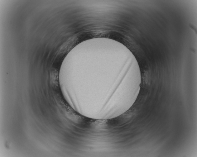 X0000101970138200808081559