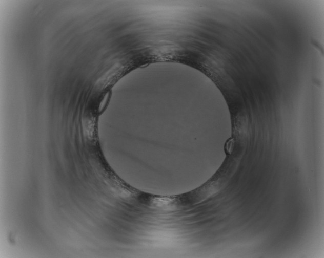 X0000101970139200808081559