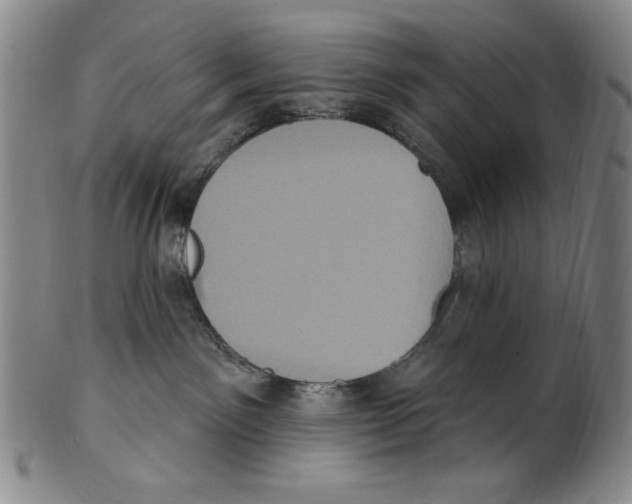 X0000101970141200808081559