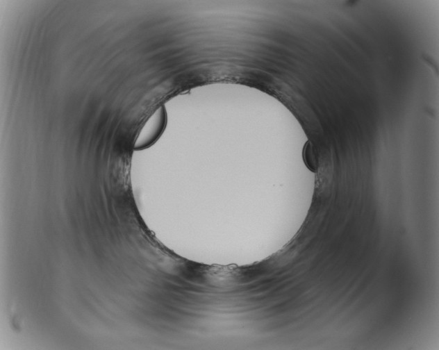 X0000101970142200808081559