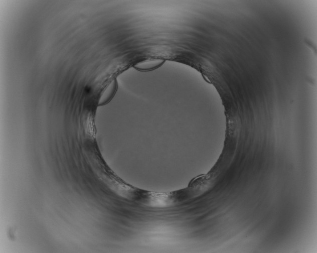 X0000101970143200808081559