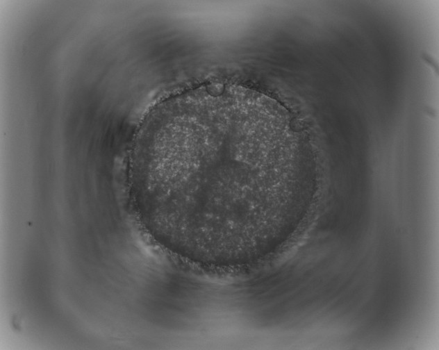 X0000101970144200808081559
