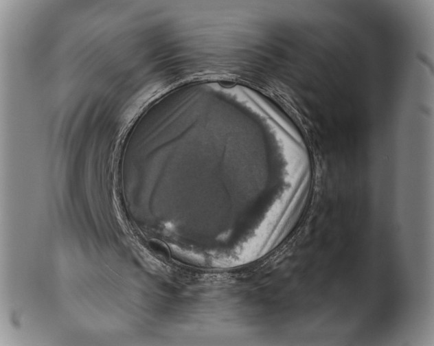 X0000101970145200808081558