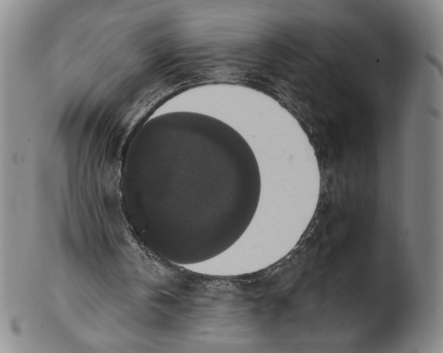 X0000101970146200808081558