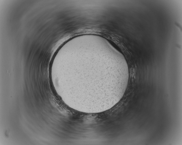 X0000101970148200808081558