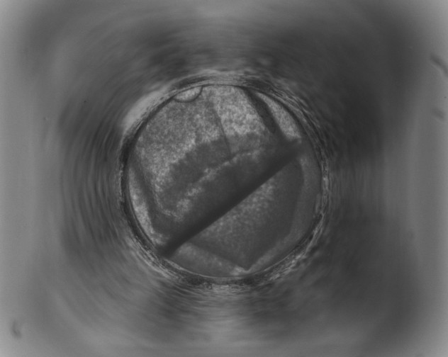 X0000101970149200808081558