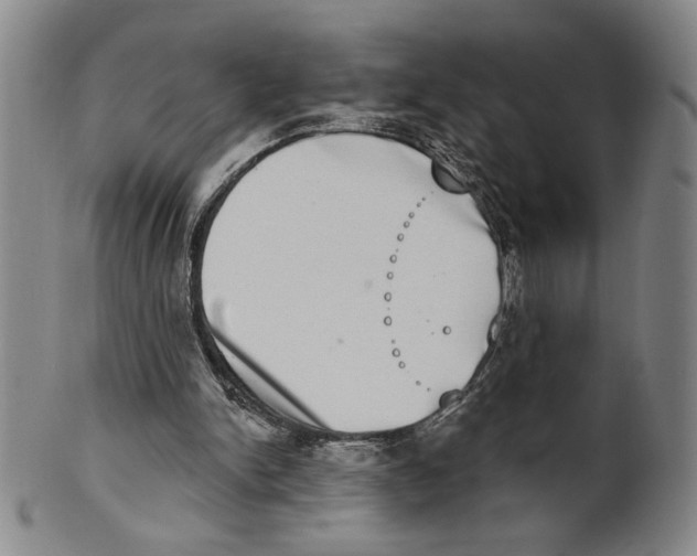 X0000101970150200808081559