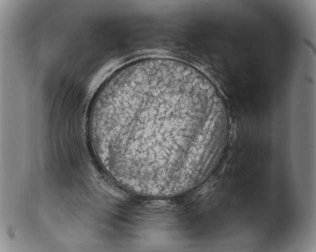 X0000101970151200808081559